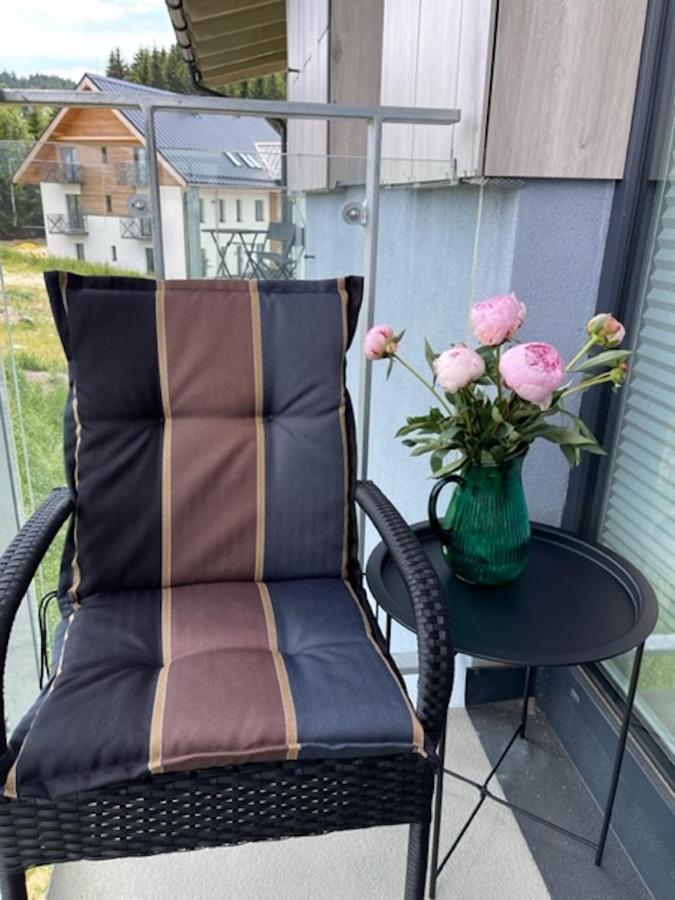 Klinovec Apartments Luxury Loučná pod Klínovcem Extérieur photo